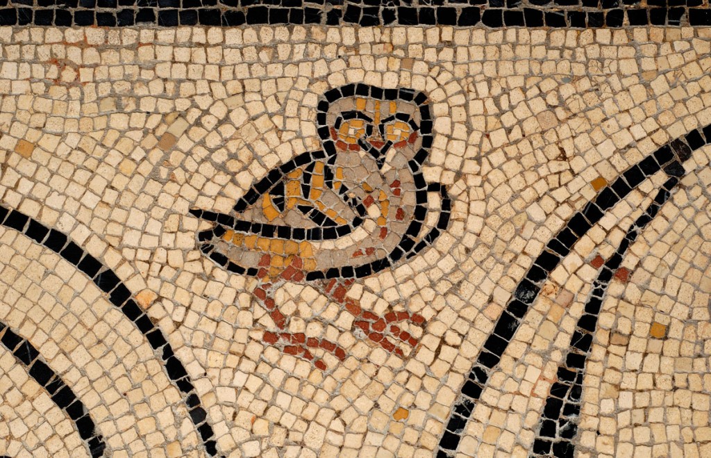 Mosaïque Vesunna, photo Bernard Dupuy